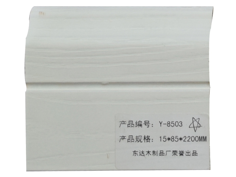Y-8503